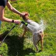 Jetwash - Water dispenser for cleaning dogs