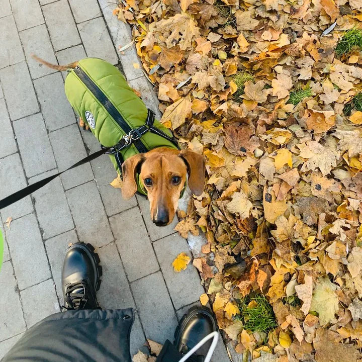 Waterdichte Honden Winterjas